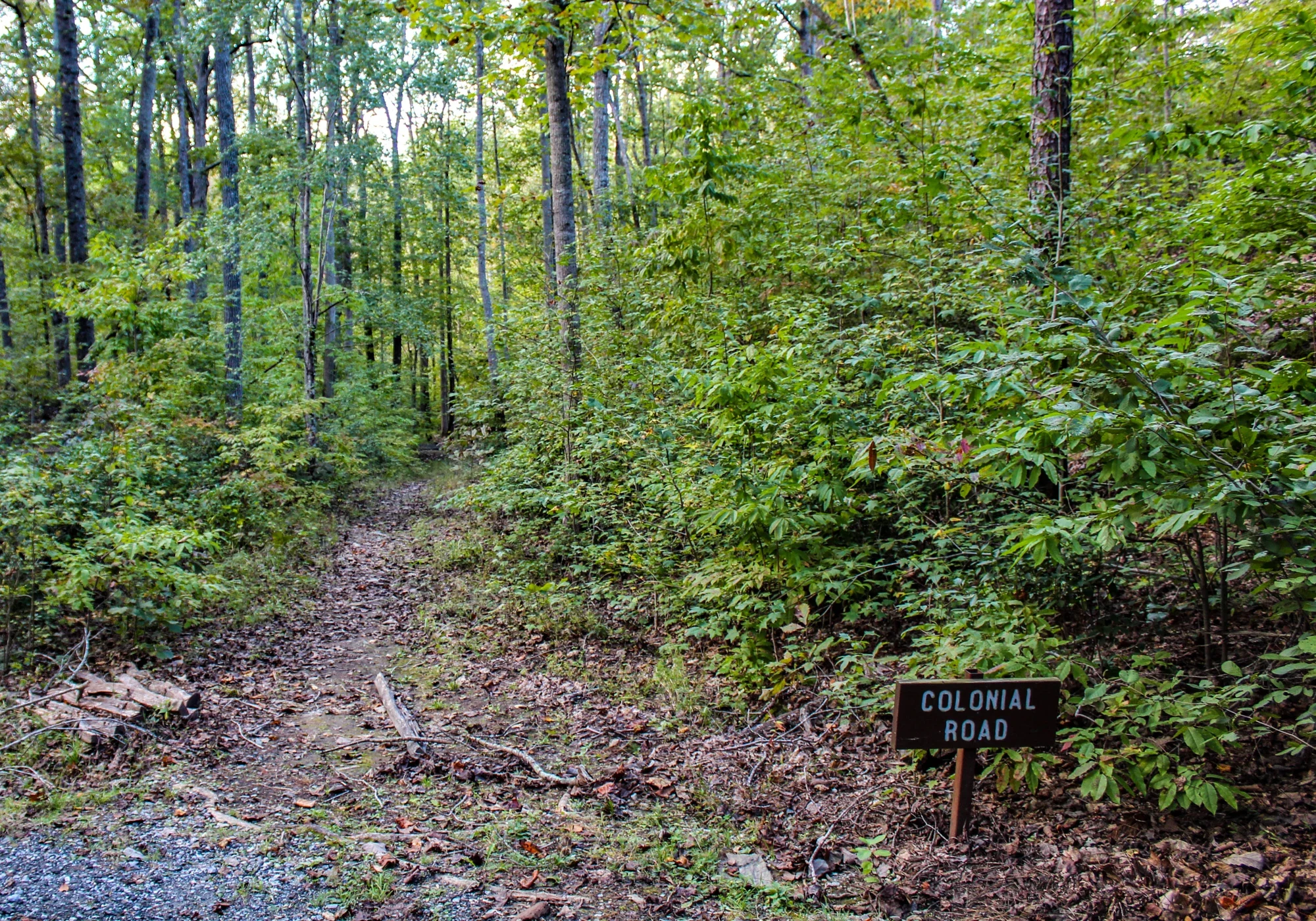 Kings Mountain National Military Park’ta Colonial Road levhası ve orman yolu