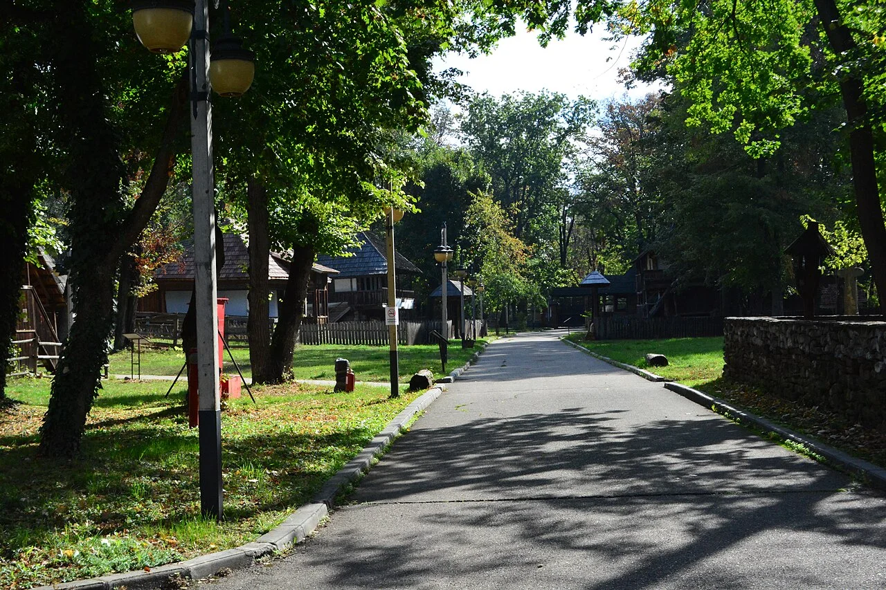 Bükreş Köy Müzesi içindeki ağaçlı yol, Ekim 2024; gezi günü öğün zamanlamasının şehir sahnesi, restoran fotoğrafı değildir.