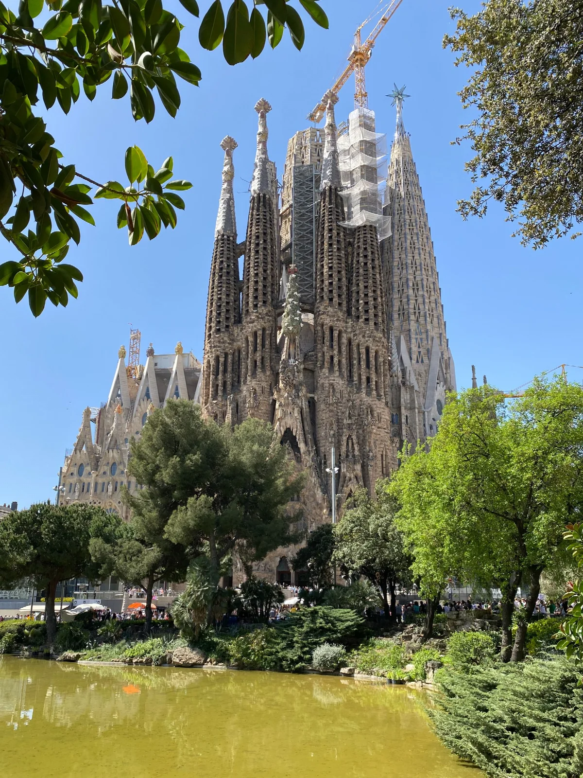 Barselona Sagrada Família’nın kuleleri ve önündeki yeşil alan