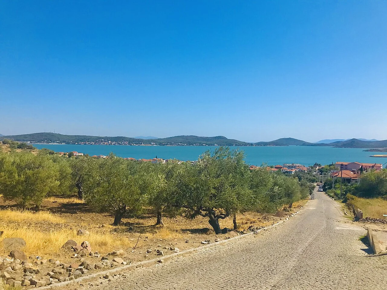Cunda Adası’nda zeytinlikler arasındaki yol ve deniz; Ağustos 2021.