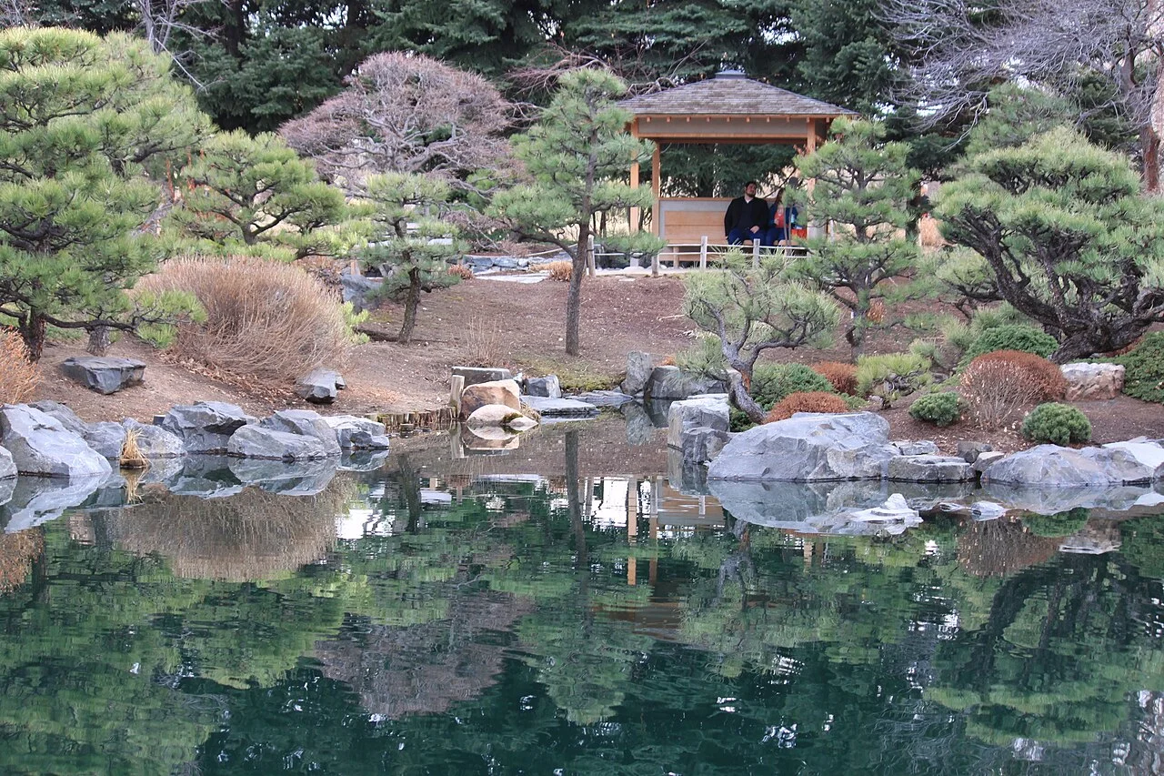 Denver Botanic Gardens Japon bahçesi su ve bitki peyzajı