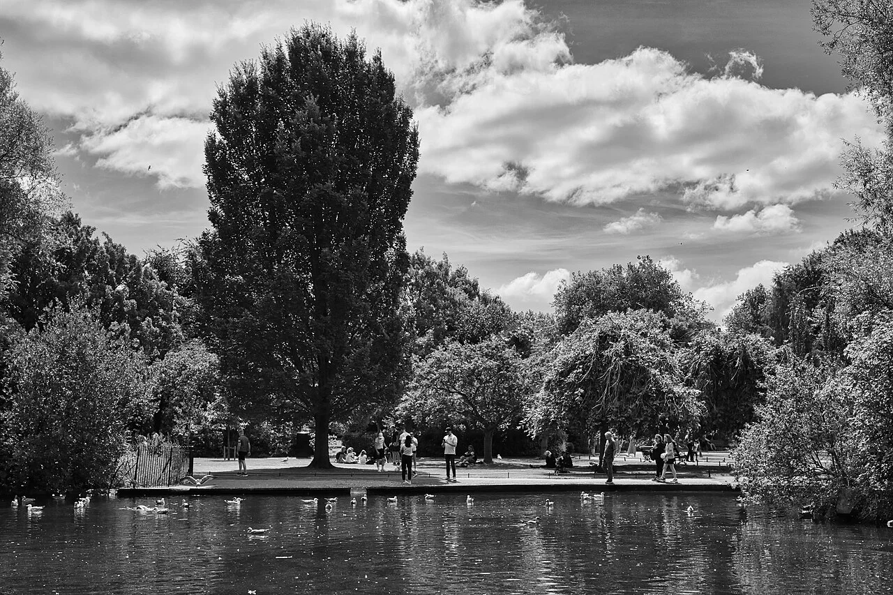Dublin St Stephen's Green göleti, 2022