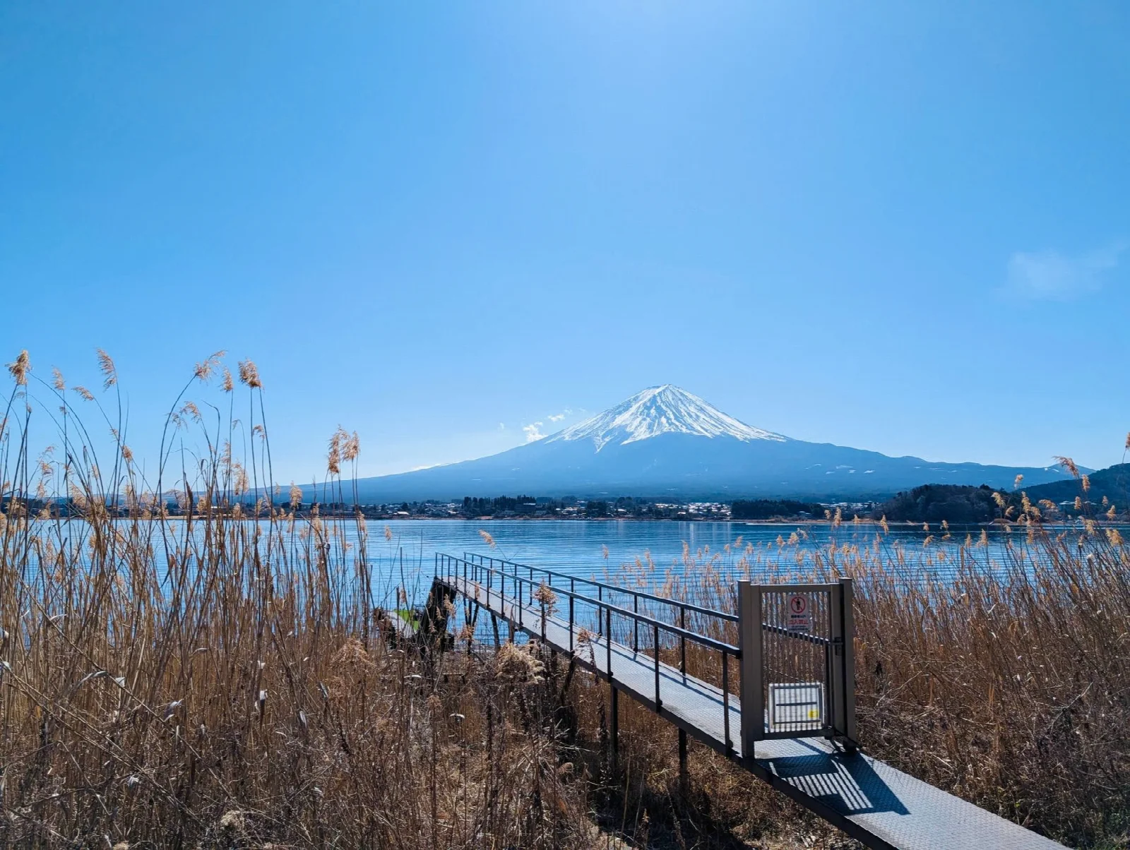 Mount Fuji under a clear sky seen from the shore of Lake Kawaguchiko