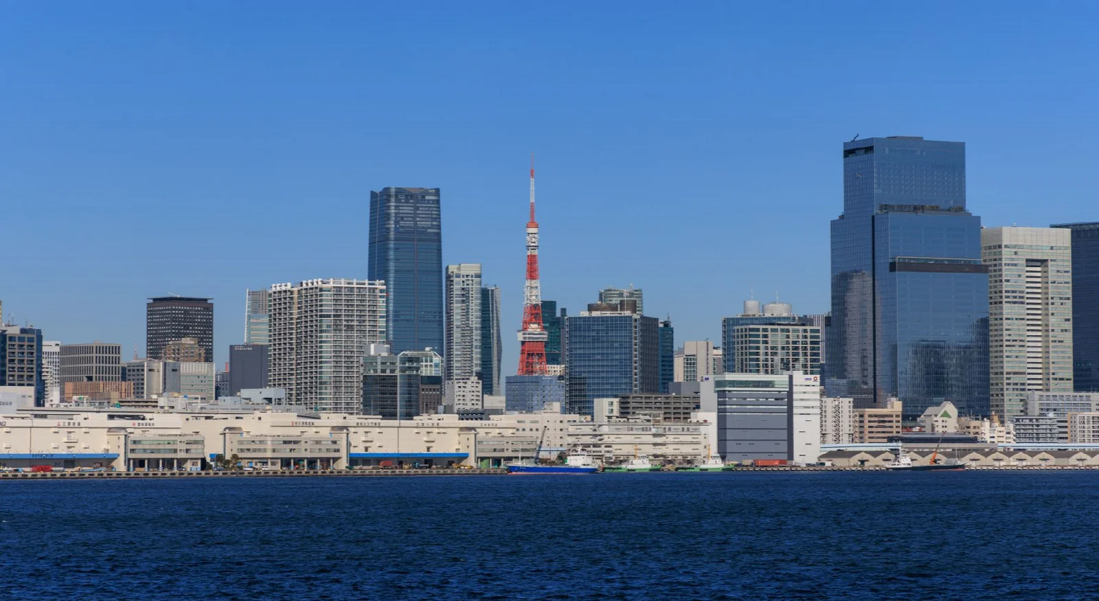 The red and white Tokyo Tower among the city skyline