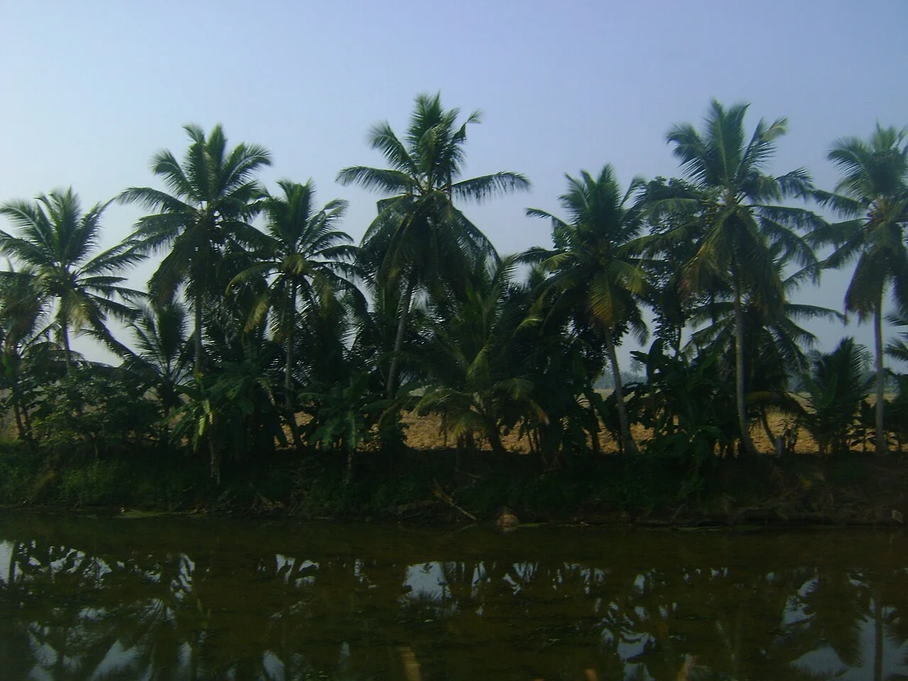 Kuttanad bölgesinde ağaçlar ve su sümbülleriyle gerçek kanal; Adarshjchandran, 18 Ekim 2016. Bugünkü tur güzergâhı veya kanal erişimi değildir.