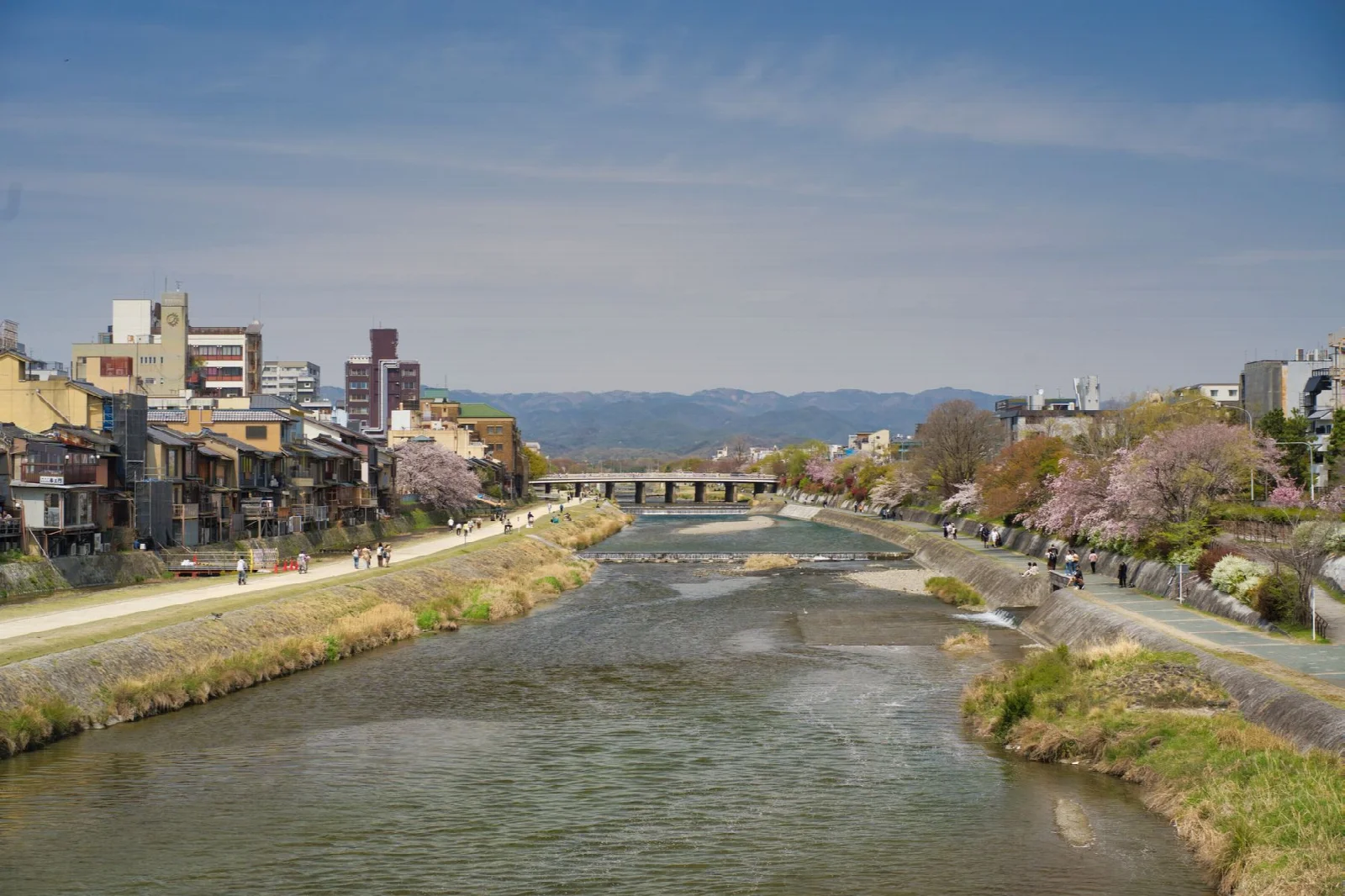 City buildings and a riverside view along Kyoto Kamo River