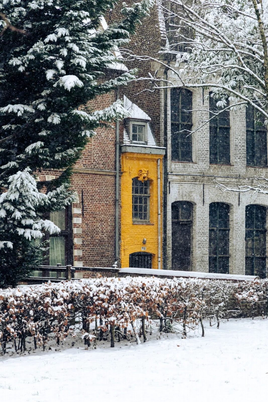 A narrow yellow-fronted house on a snowy street in Lille