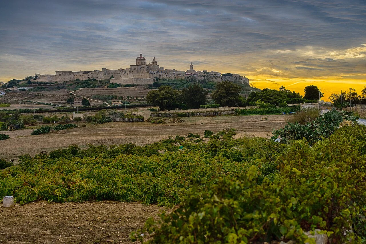 Mdina tarihî şehrinin uzaktan silueti; Jonathan borg, 2013-07-12.