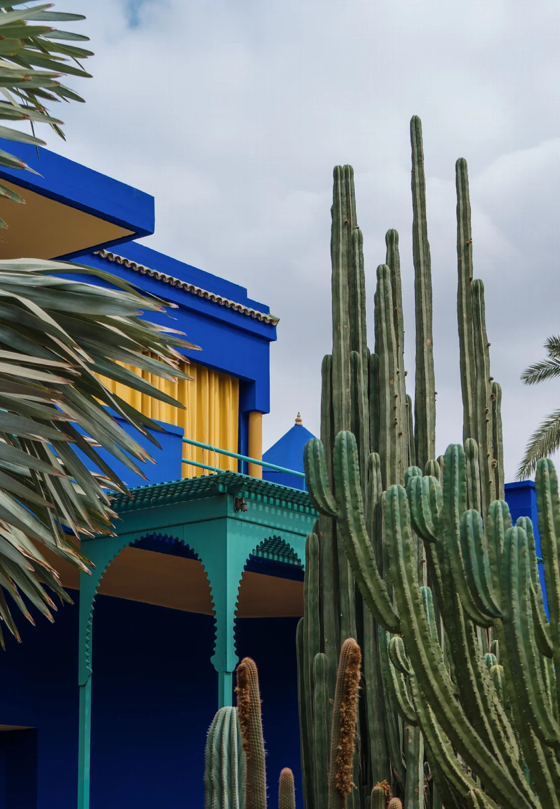 Cobalt-blue architecture, yellow window details and tall cacti at Jardin Majorelle