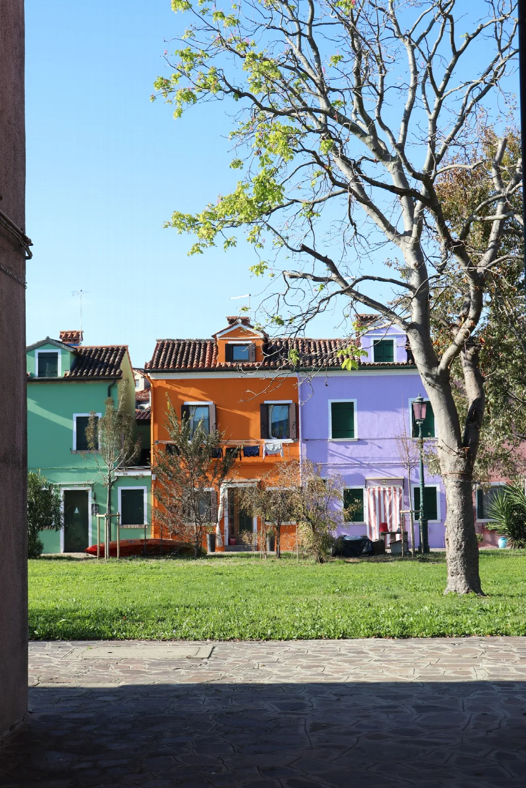 Burano’da yeşil alanın gerisinde renkli cepheli evler ve bir ağaç