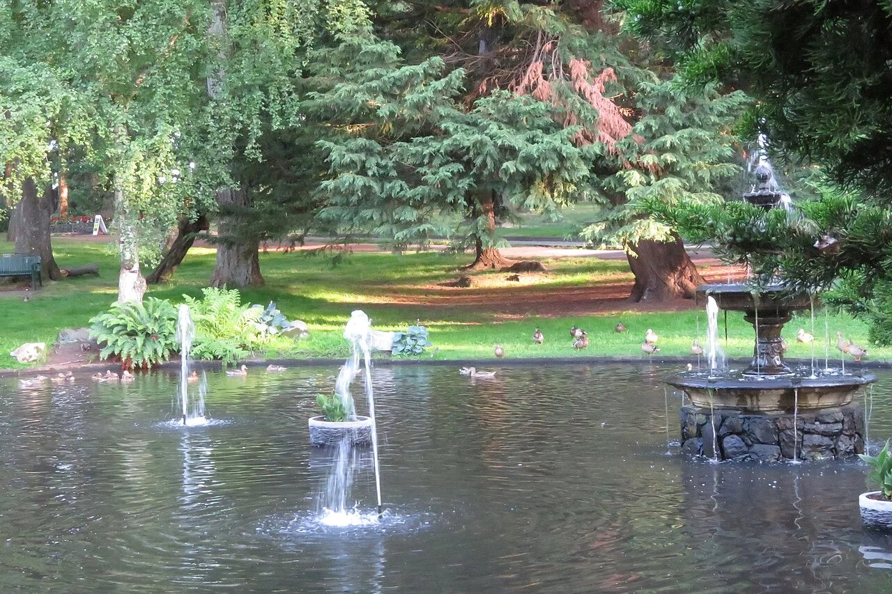 Victoria Beacon Hill Park göleti, su kuşları ve yeşil kıyısı, 2020